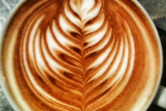 photo_2