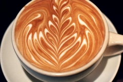 Rosette_no_1