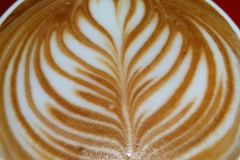 photo_2