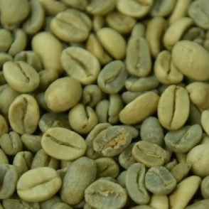Unroasted Coffee